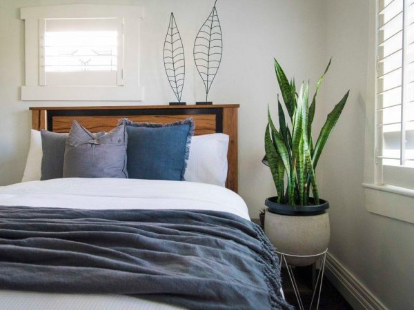 Để chậu cây xanh trong phòng ngủ giúp điều hòa không khí, tốt về phong thủy