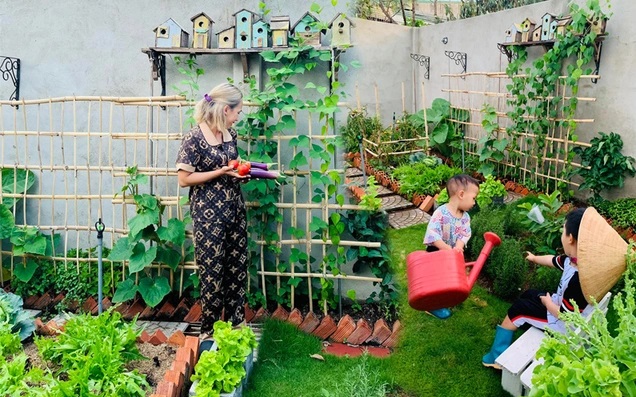 Cải tạo sân vườn thành nơi trồng rau sạch, an toàn cho gia đình